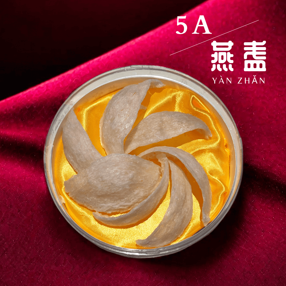 5A 燕盏 5A 燕盏