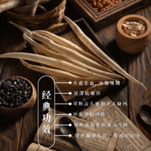 鳗鱼胶