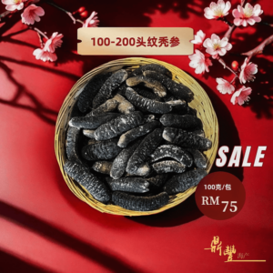 100-200 Sea Cucumber